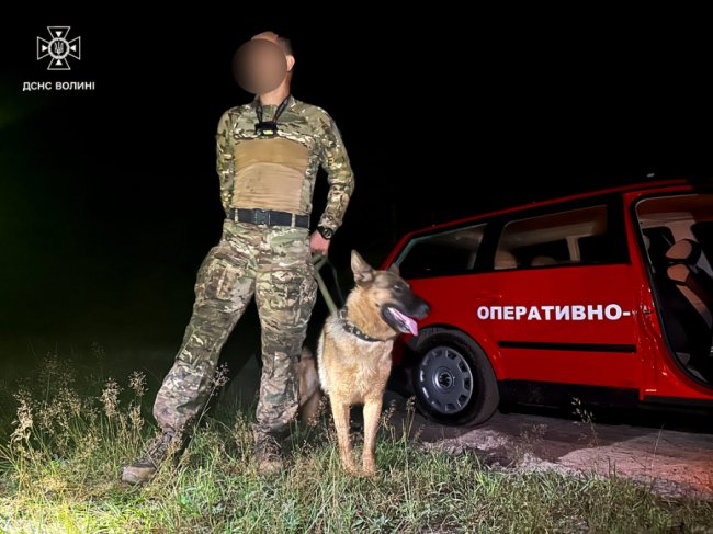 На Волині відшукали жінку, яка заблукала у лісі