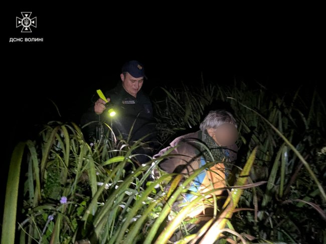 На Волині відшукали жінку, яка заблукала у лісі
