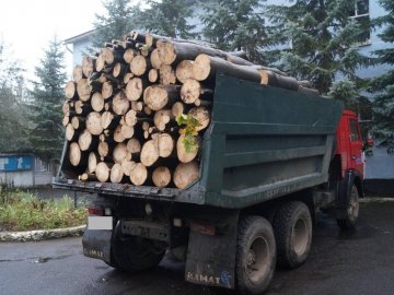 В Маневицькому районі затримали вантажівку з лісом