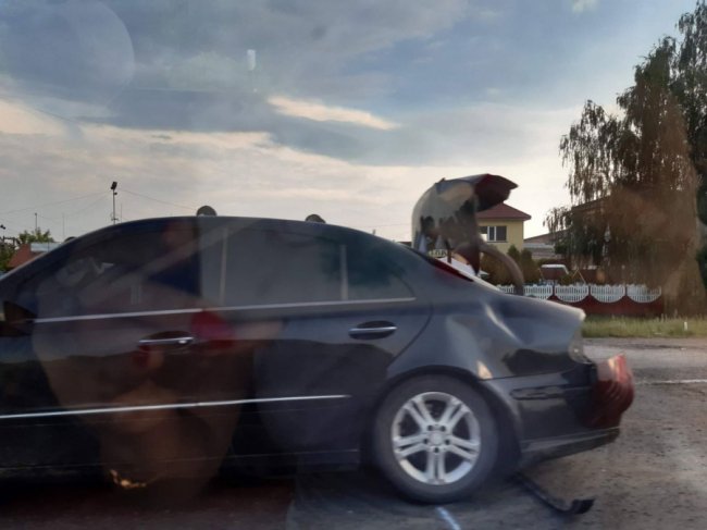 У Ковелі – дві аварії за участю 7 автівок. ФОТО