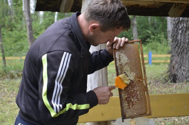 На пасіці Шацького нацпарку викачали перший мед. ФОТО