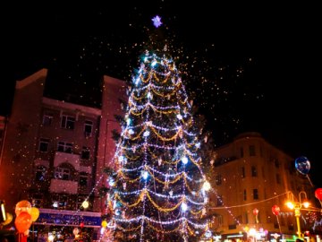 Головну ялинку Володимира знайшли біля сільської школи