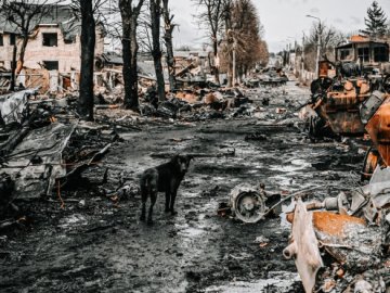 На Київщині знайшли ще трьох мирних мешканців, вбитих пострілами в голову
