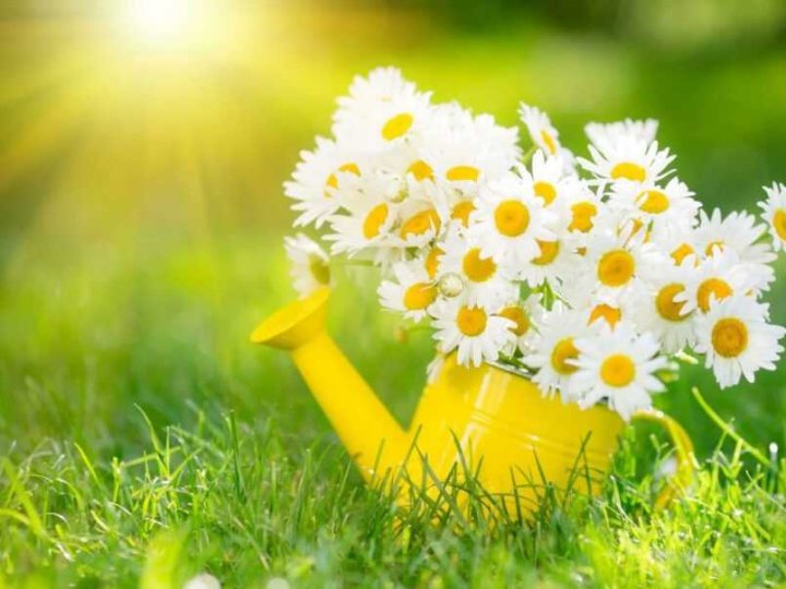 Погода в Луцьку та Волинській області на завтра, 1 червня