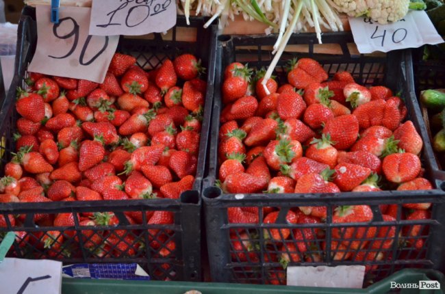 Полуниця по 90 гривень за кілограм 