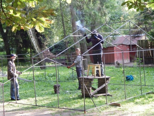 У Луцькому зоопарку добудовують «пташине містечко»