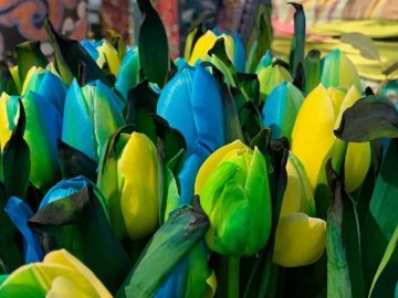 Добрі новини від ВолиньPost за 28 лютого 