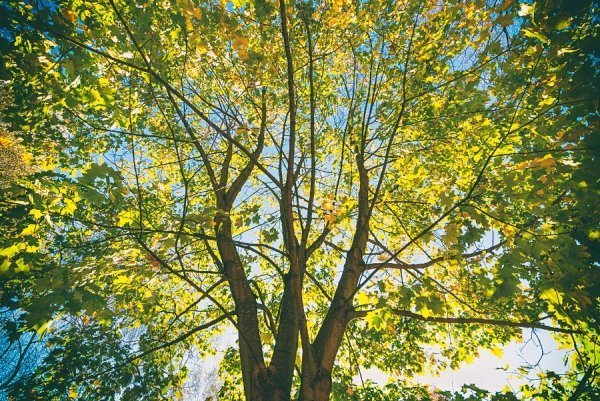 Фотовиставка Олега Гордіюка