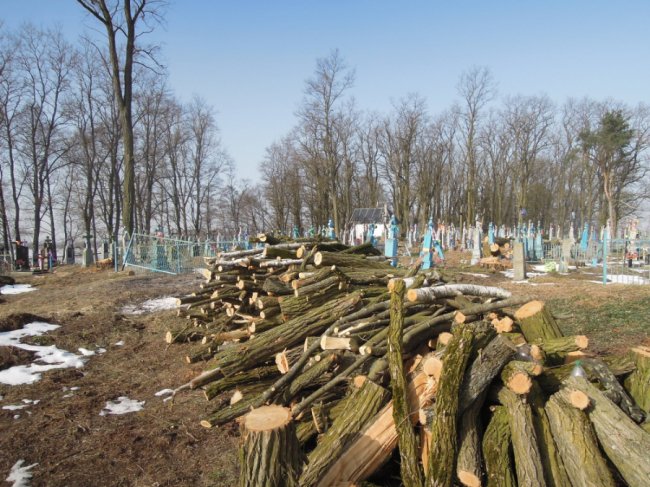 Староста організував впорядкування сільського кладовища у громаді на Волині. ФОТО