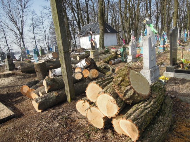 Староста організував впорядкування сільського кладовища у громаді на Волині. ФОТО
