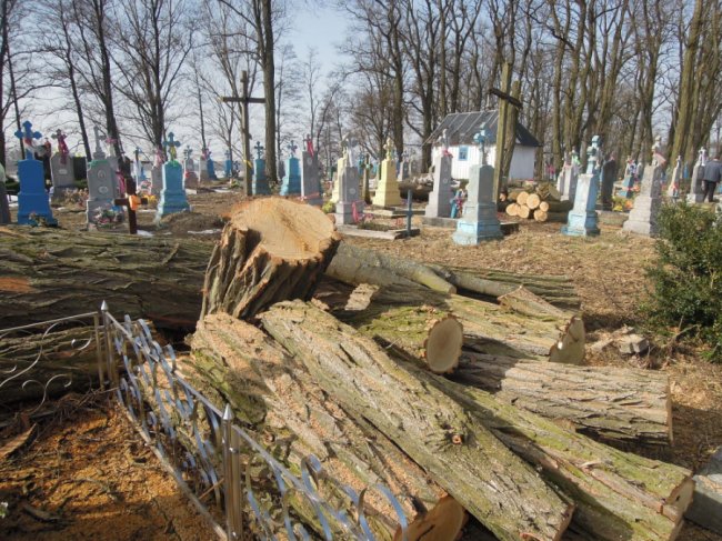 Староста організував впорядкування сільського кладовища у громаді на Волині. ФОТО