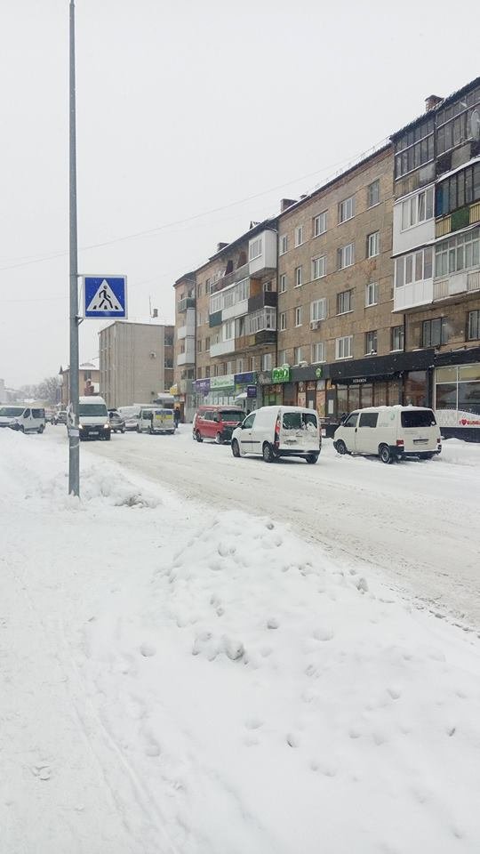 «Дупу легше зупинити, ніж машину», – волинянин закликав пішоходів бути обережними