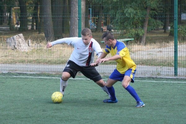 «Недитячі» дворові баталії на Волині