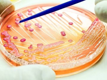 Волинь – у топі областей із найбільшою кількістю інфекційних хвороб