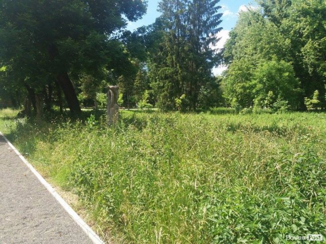 Алея з реставрованими скульптурами Миколи Голованя заросла кропивою