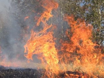 Волинянину, який спалював суху траву, «впаяли» чималий штраф