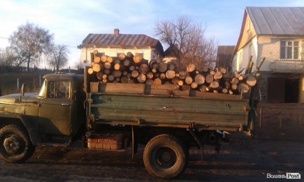 «Айдар» на Волині ловить крадіїв лісу. ФОТОРЕПОРТАЖ