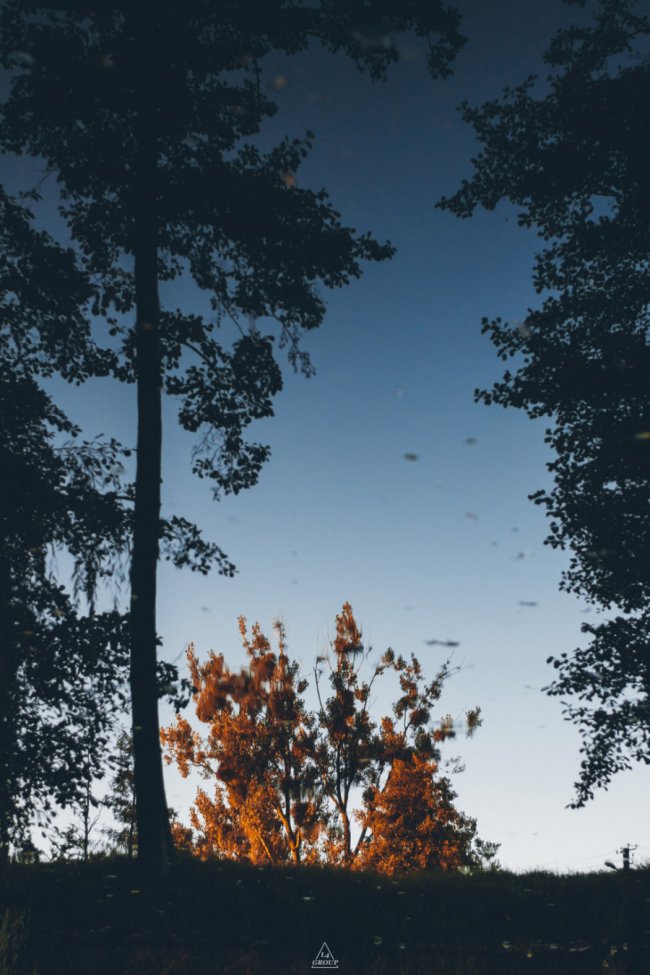 Курортне селище Волині у променях вечірнього сонця. ФОТО