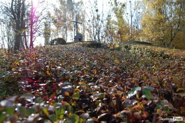 Парк у Луцьку: осіння краса і людська байдужість. ФОТО