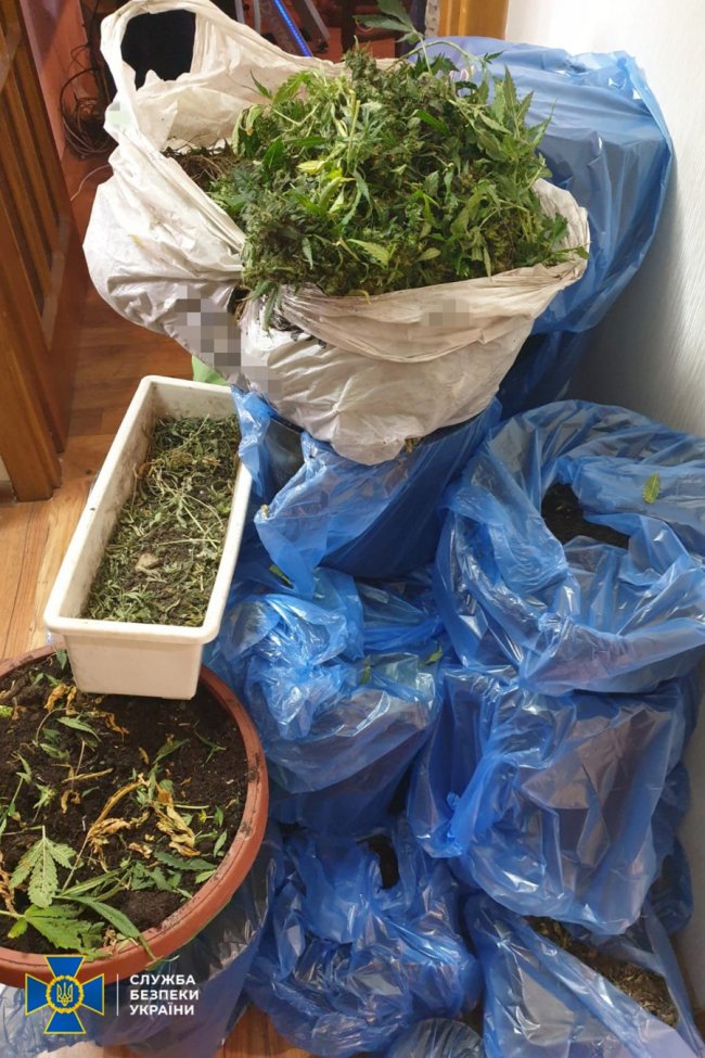 СБУ нейтралізувала «силовий осередок» проросійського ГО, яке контролював нардеп: у ЗМІ назвали ім'я