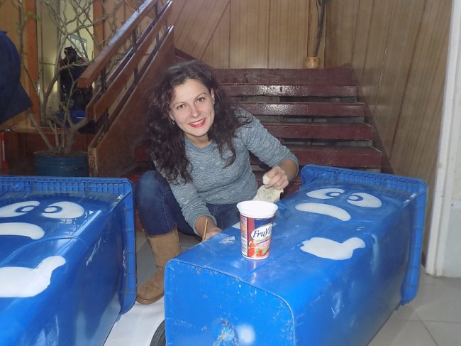 У селі під Луцьком встановили «веселі» і «сумні» сміттєві баки. ФОТО