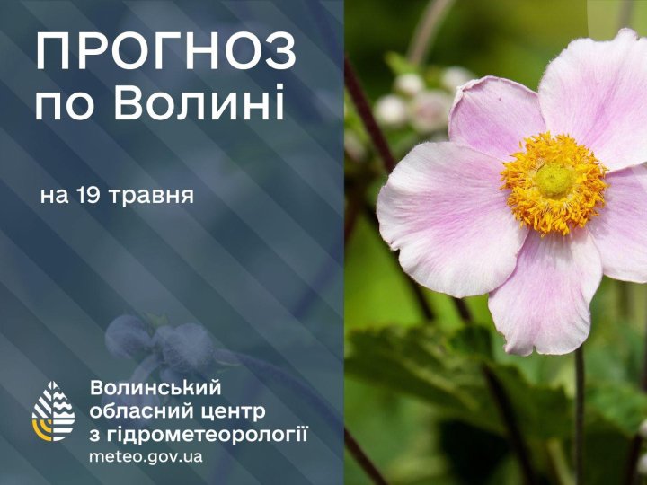 Якою буде погода у Луцьку та на Волині у вівторок, 19 травня