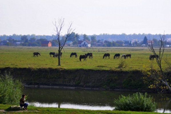 Бабине літо у Луцьку