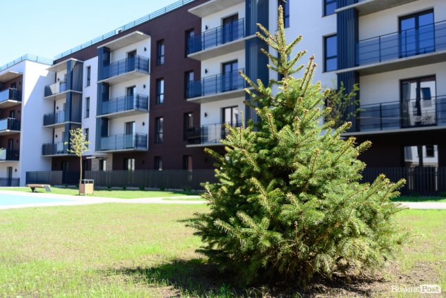 «Ми уявляли свій дім таким»: подружжя луцьких телеведучих обрало квартиру у ЖК  «StyleUP»* 