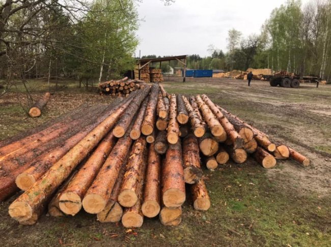 На Камінь-Каширщині – обшуки на пилорамі: виявили деревину невідомого походження