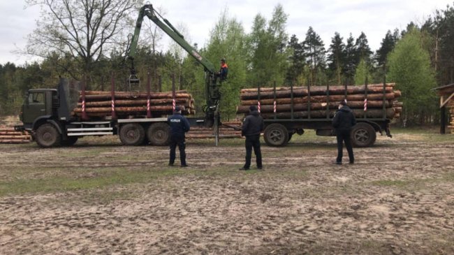 На Камінь-Каширщині – обшуки на пилорамі: виявили деревину невідомого походження