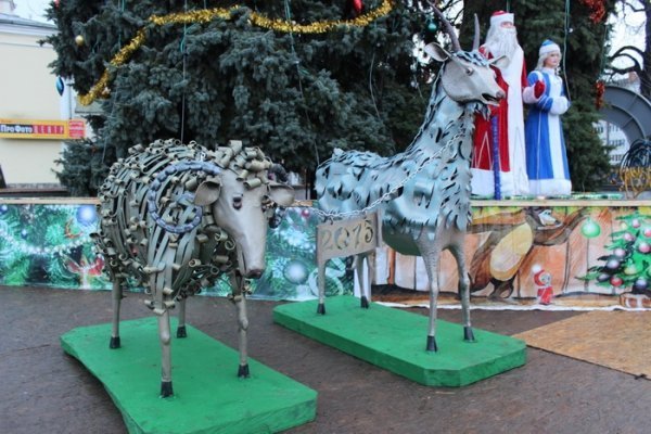 Біля луцької ялинки поставили символ 2015 року. ФОТО