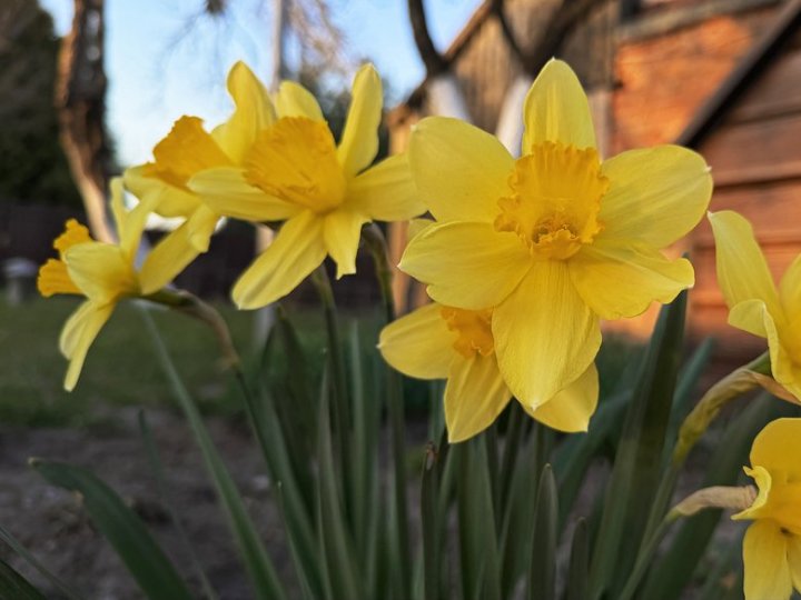 На Волинь іде справжнє весняне потепління та невеликі дощі: прогноз синоптиків