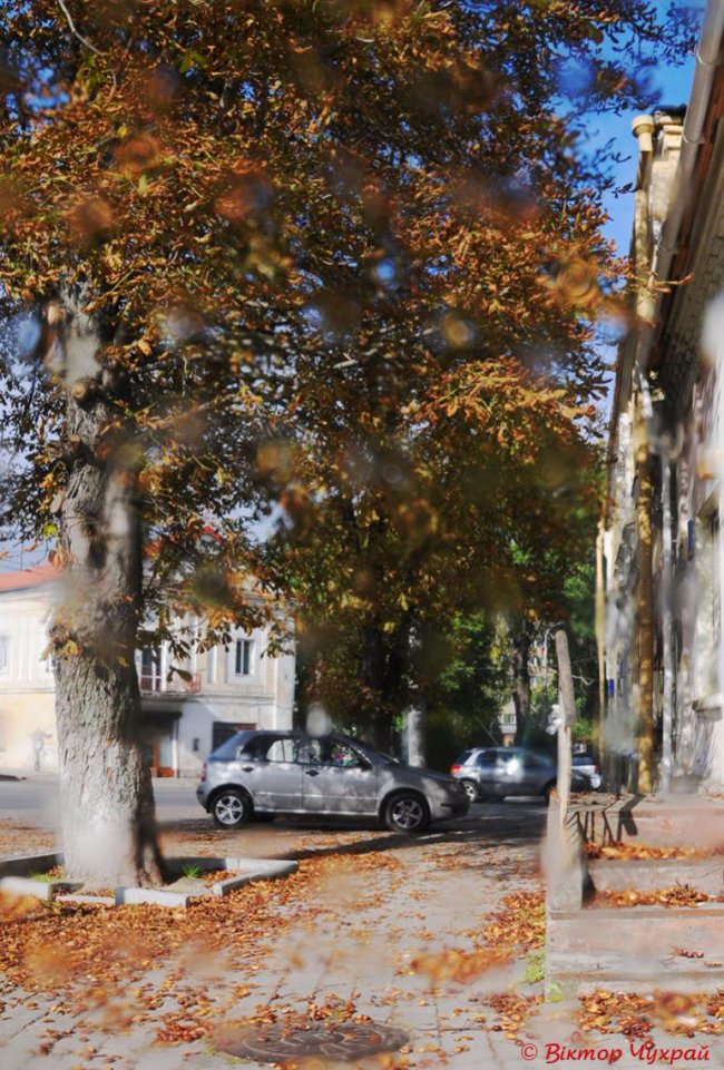 Осінь у Луцьку. ФОТО