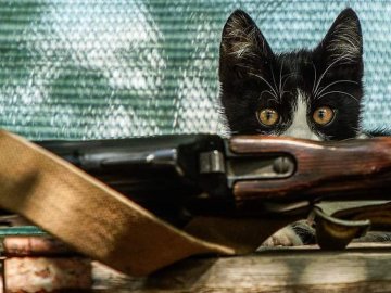 У Білорусі завершується ротація військових на кордоні з Україною, – Генштаб