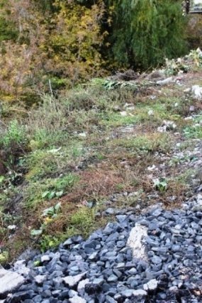 Оглядовий майданчик Луцька тоне у смітті. ФОТО