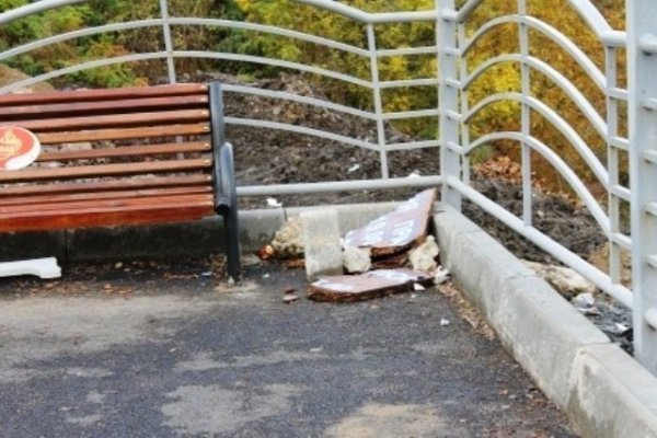 Оглядовий майданчик Луцька тоне у смітті. ФОТО