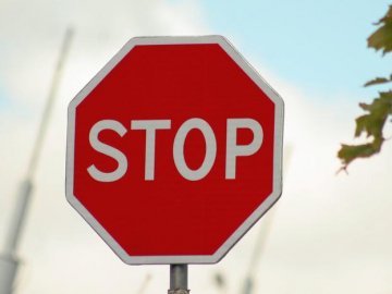 У парках Володимира-Волинського просять заборонити рух автомобілів