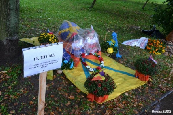 У Луцьку  - квіткова виставка до Дня Незалежності. ФОТО