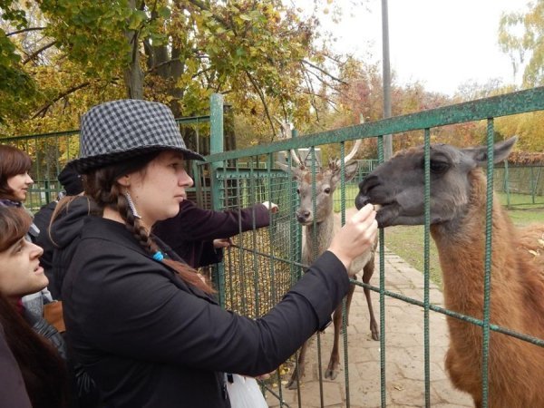 Луцький зоопарк «відчули на дотик». ФОТО