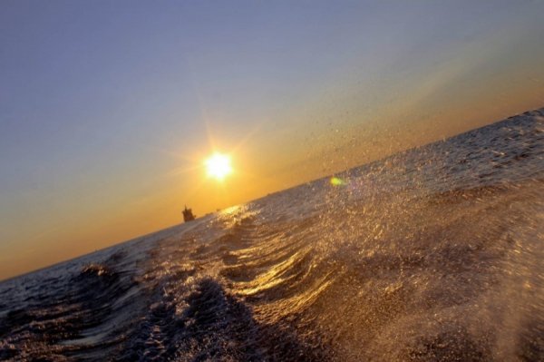 Автор - Наталия Хомич