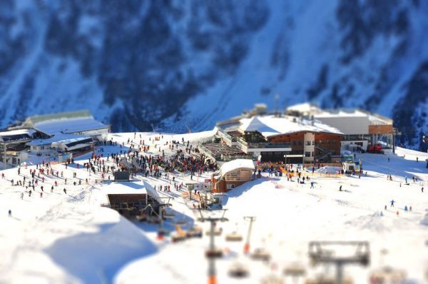 Автор - Хоміч Анна