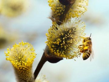Тепле свято: повідомили, якою буде погода на другий день Великодня