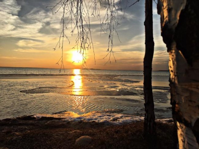 В мережі показали вже весняний Світязь. ФОТО
