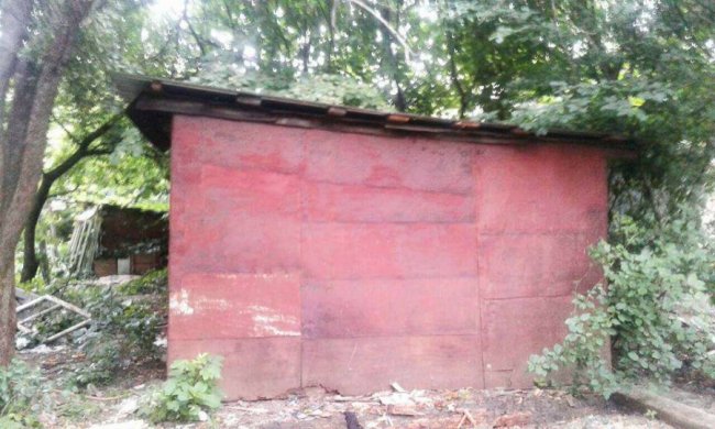 З луцького двору муніципали вивезли цілу вантажівку сміття. ФОТО