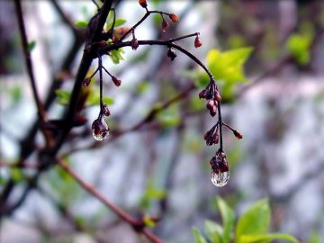 Синоптики попереджають про похолодання у найближчі дні
