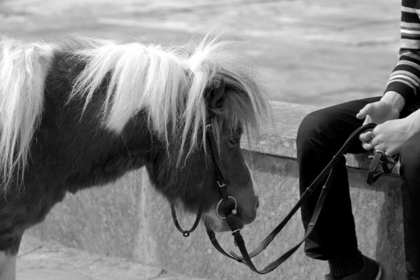 Луцьк вихідний. ФОТО