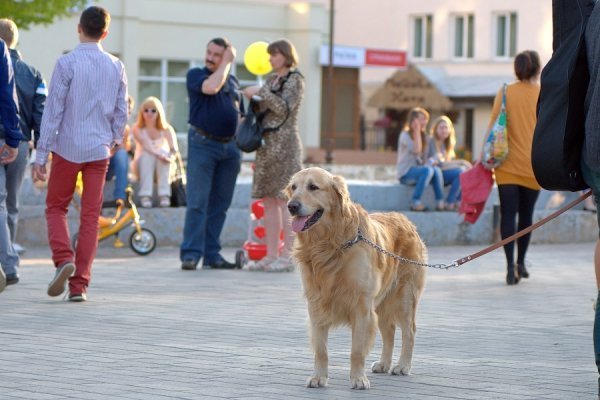 Луцьк вихідний. ФОТО