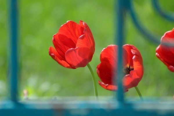 Луцьк вихідний. ФОТО