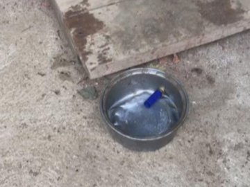  12-річний хлопець застрелив з рушниці товариша. ВІДЕО