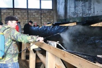 На Волині хочуть створити музей для стародавнього човна-довбанки